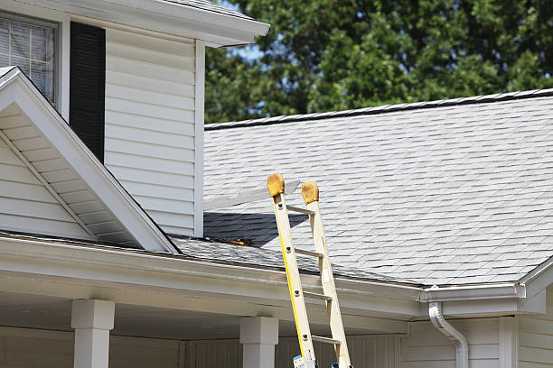 Best Storm Damage Siding Repair  in Mulberry, FL